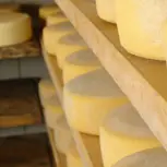 Queso madurado tradicional