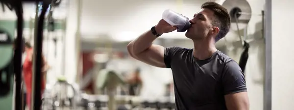 Proveedor de proteína aislada